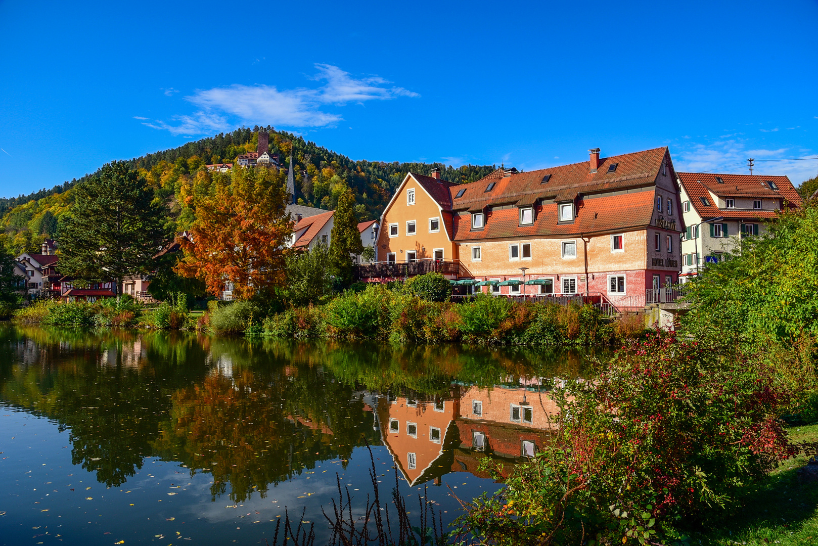 Die herbstliche Stimmung am Teich 