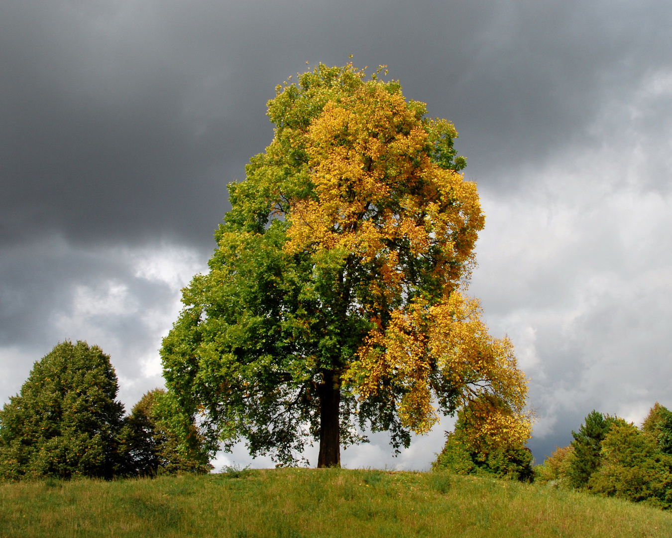 Die "Herbstmaler" ...