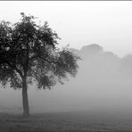 Die Herbstnebel sind da