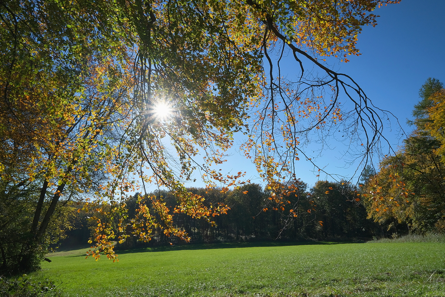 Die Herbstsonne