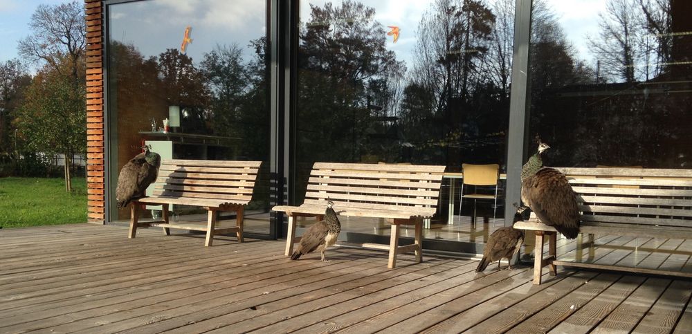 Die Herbstsonne ausnützen