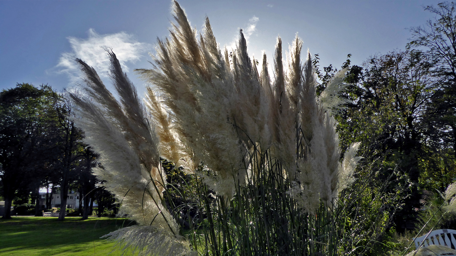 Die Herbstsonne