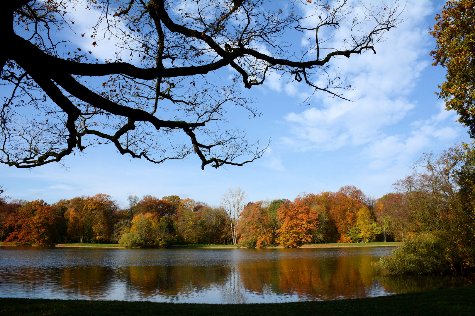 die Herbstsonne...