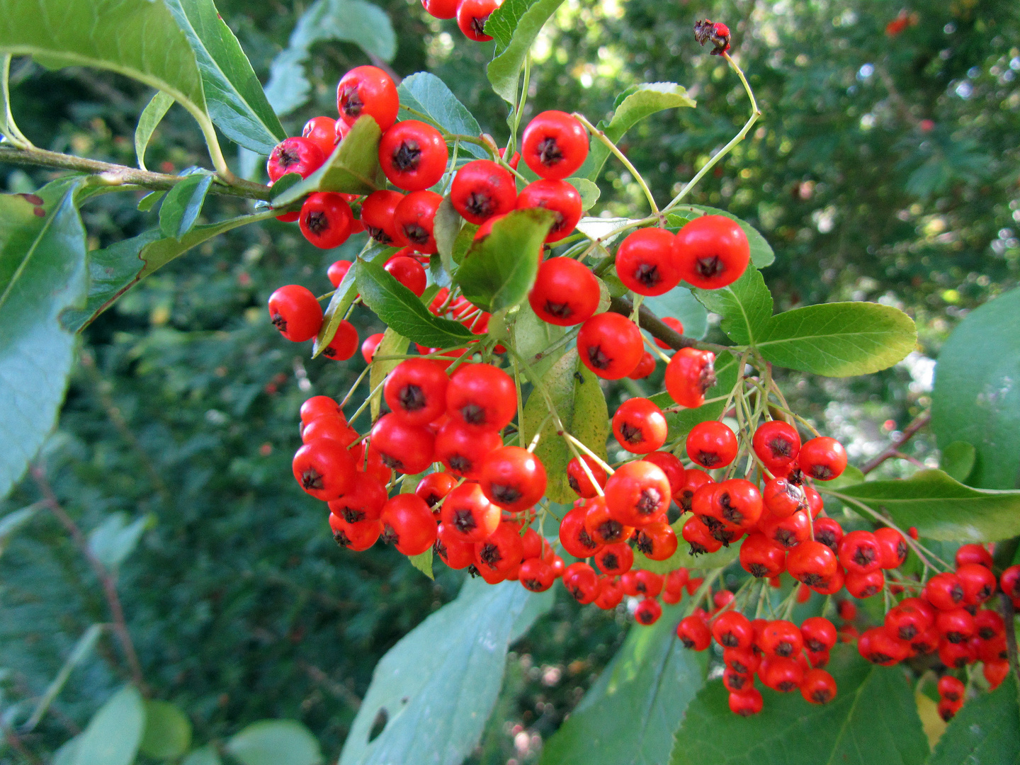 Die Herbstsonne geniesen 3