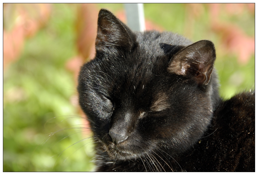 Die Herbstsonne geniessen