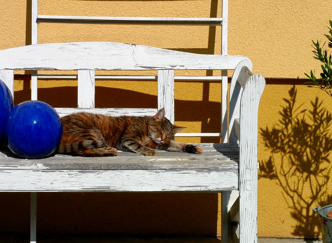 Die Herbstsonne genießen