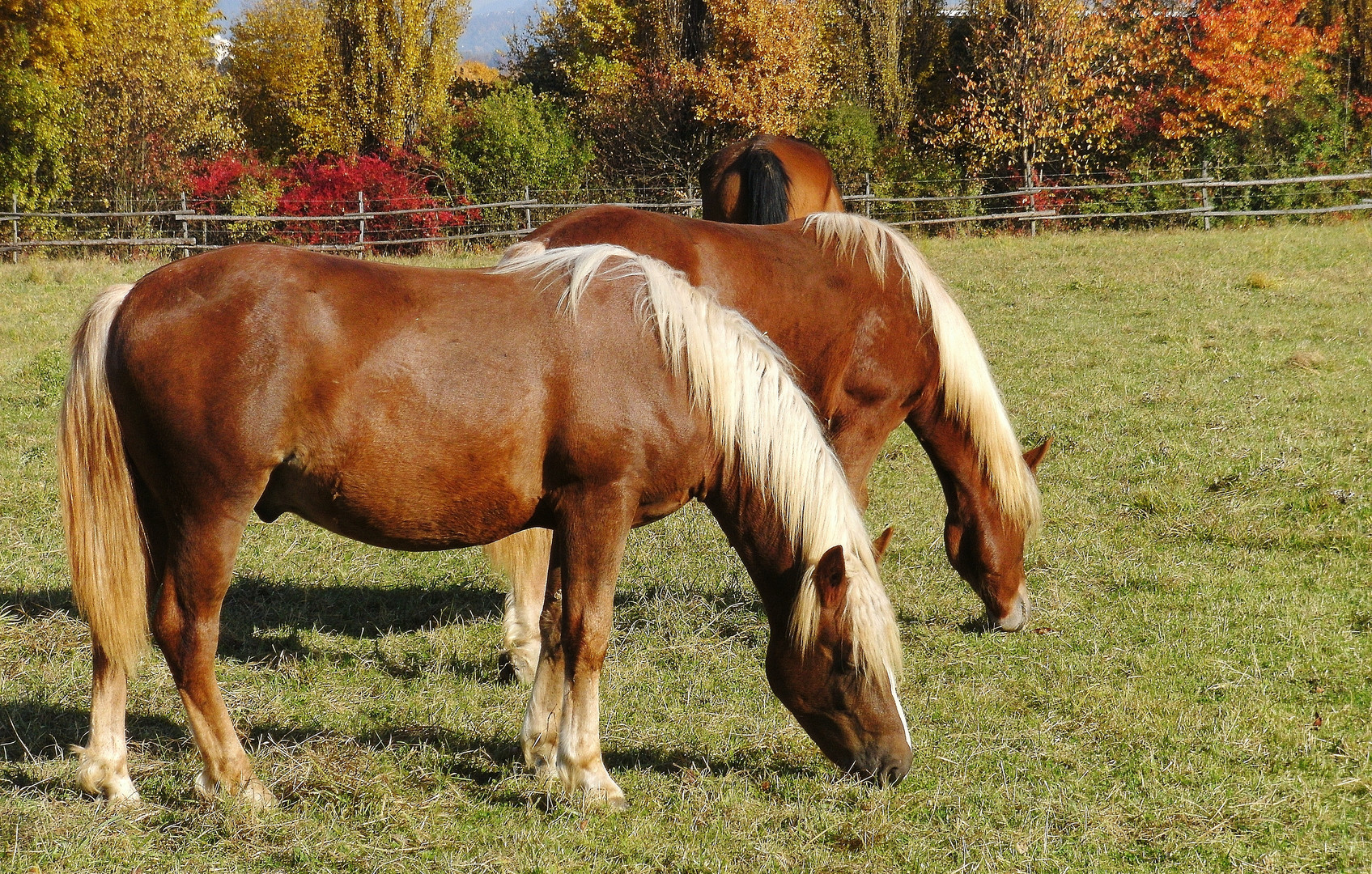 Die Herbstsonne geniessen