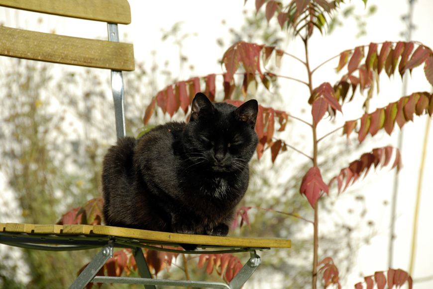 Die Herbstsonne geniessen II