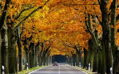 Die Herbstsonne läßt Farben "leuchten".