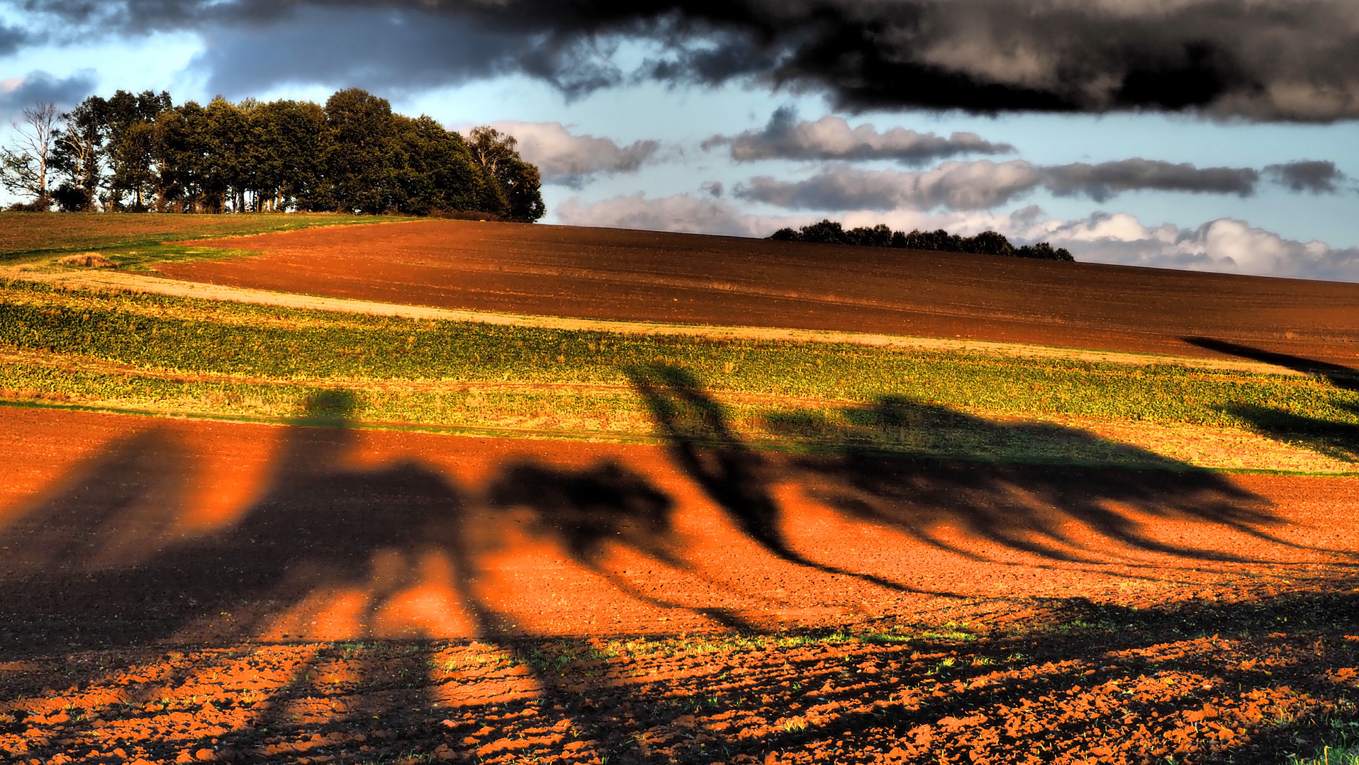 Die Herbstsonne malt.