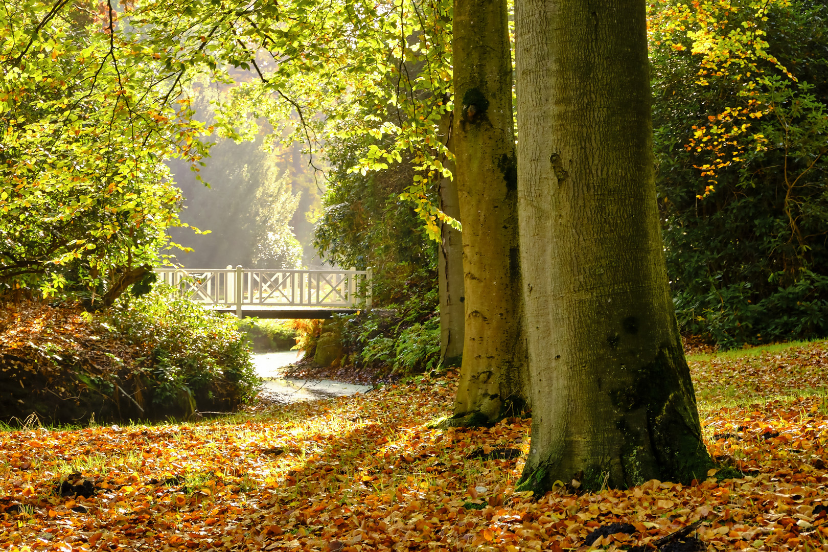 Die Herbstsonne spüren