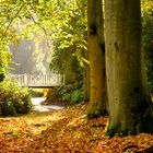 Die Herbstsonne spüren