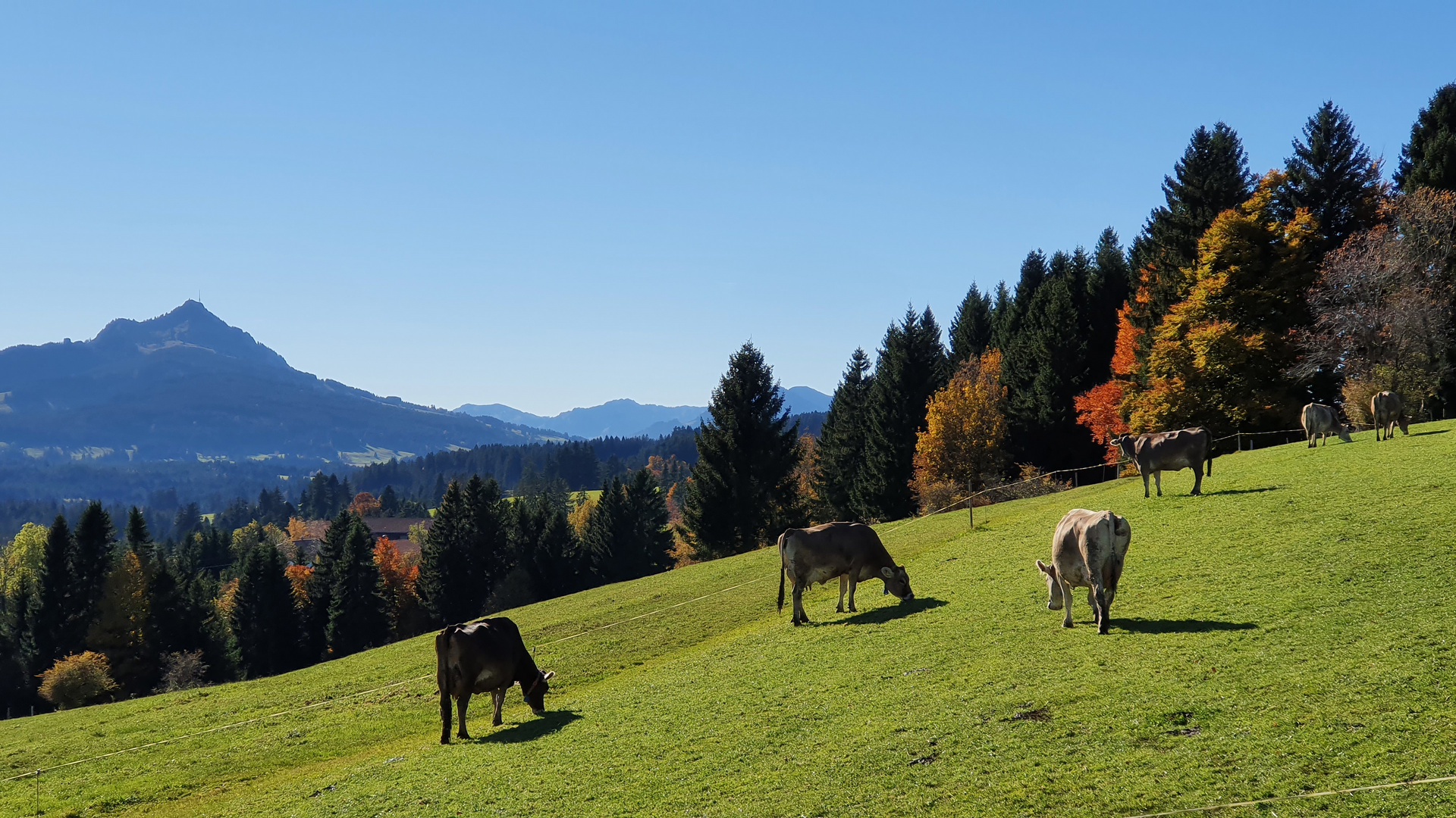 Die Herbstsonne wärmt Mensch und Tier.  