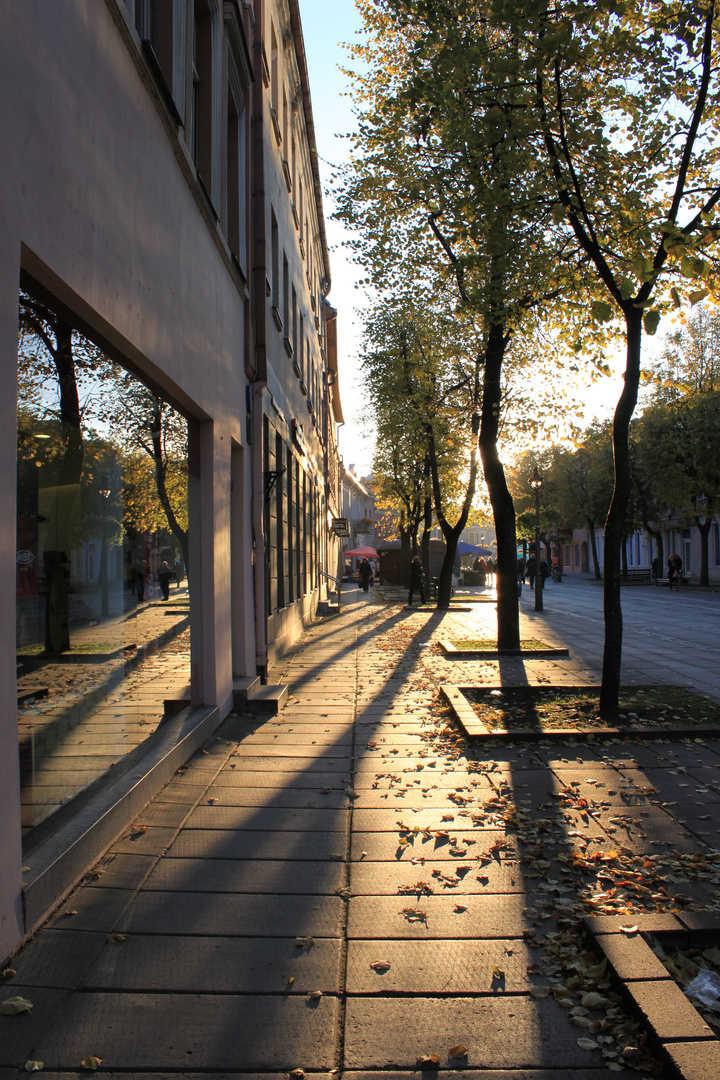 Die Herbststimmung