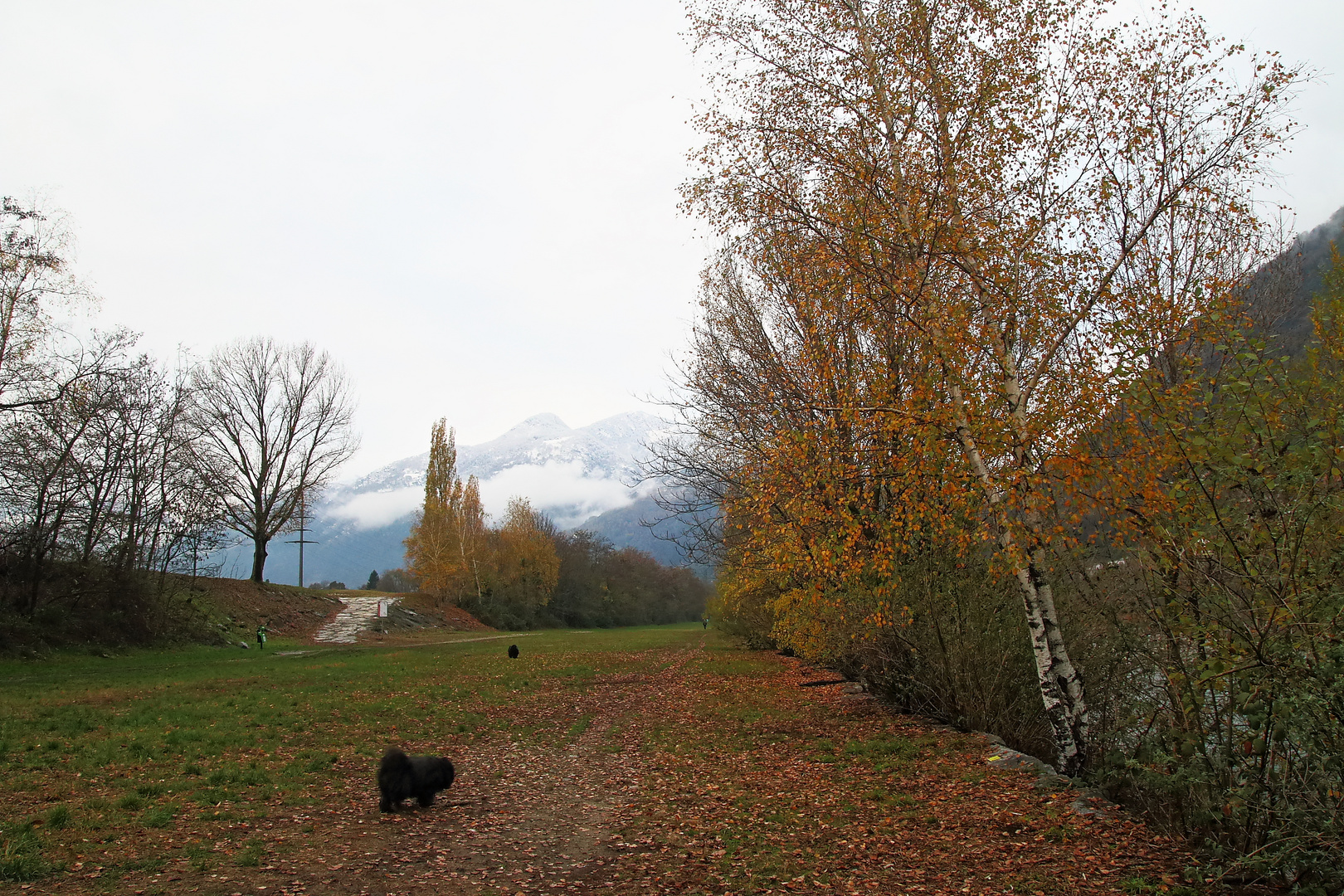 die Herbststimmung verabschiedet sich....