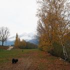 die Herbststimmung verabschiedet sich....