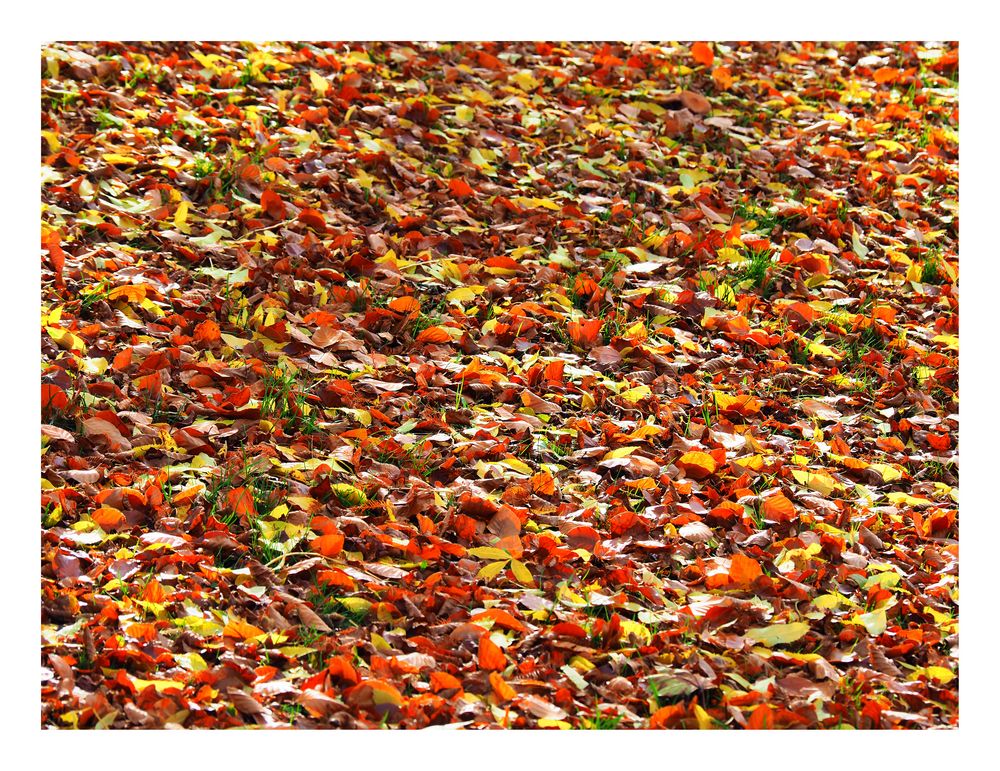 ..die Herbsttafel ist angerichtet