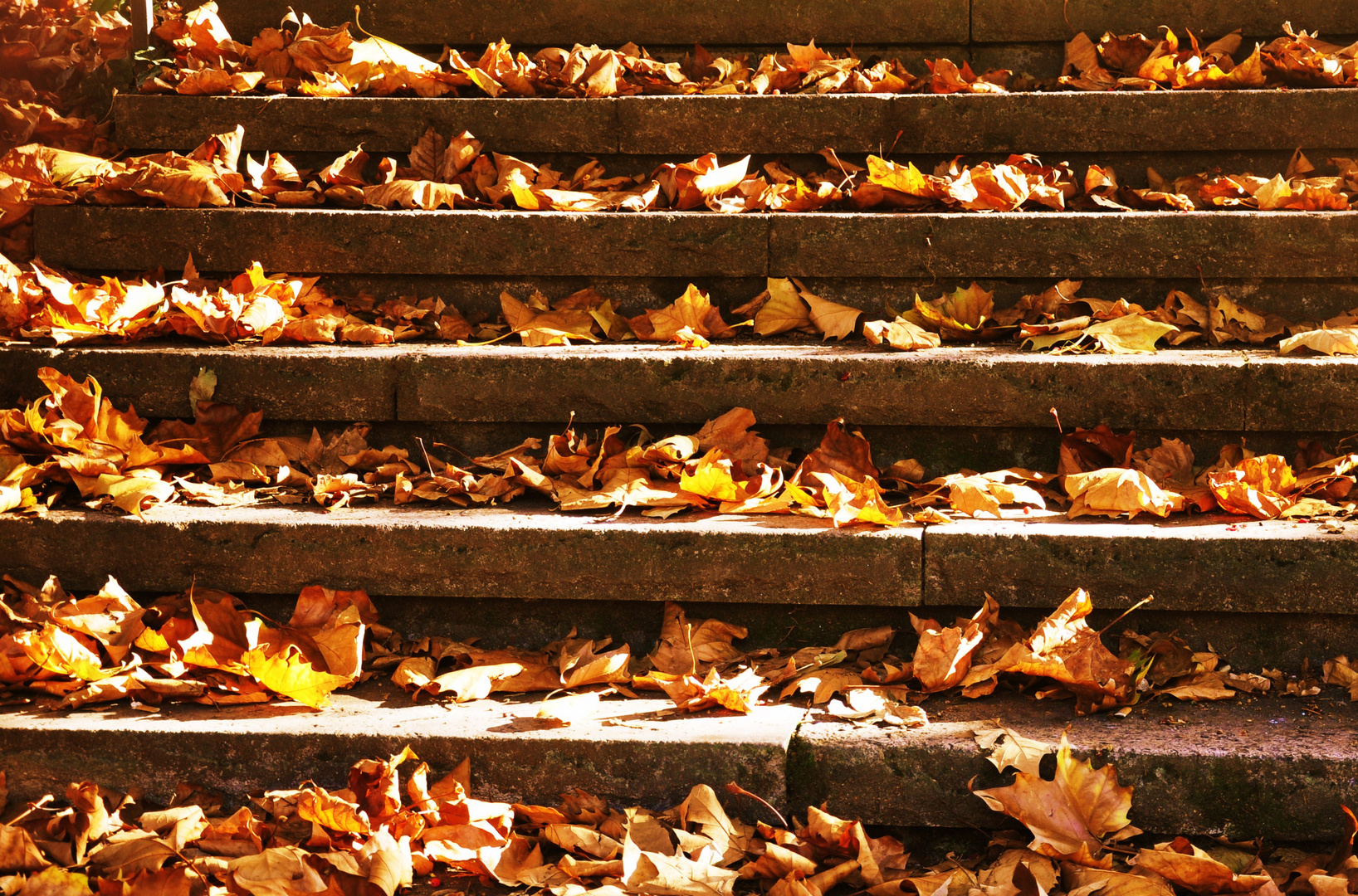 ....Die Herbsttreppe....