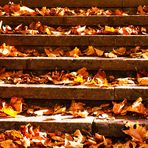 ....Die Herbsttreppe....