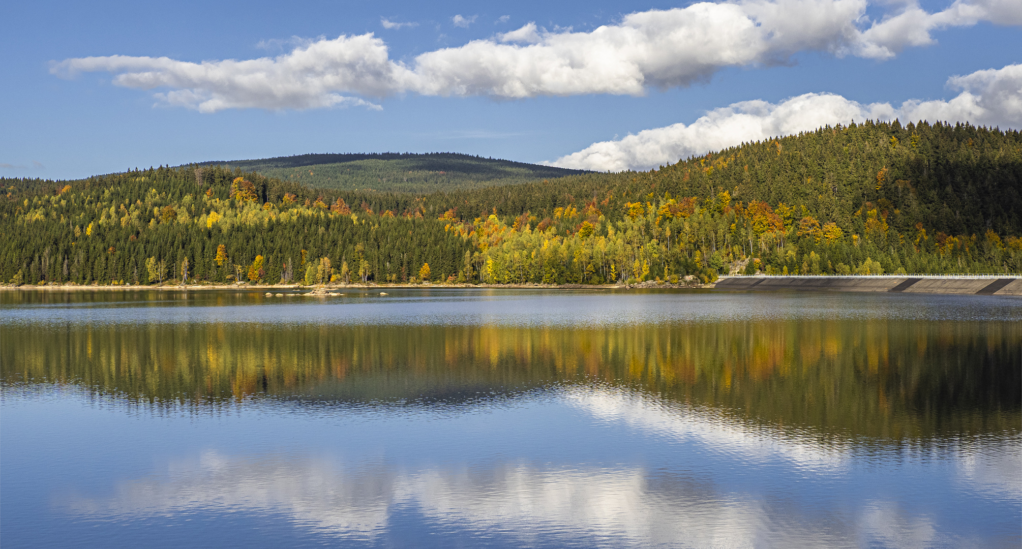 Die Herbstwelle