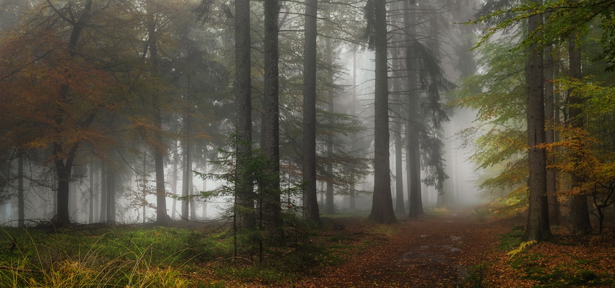 Die Herbstzeit im Spessart...