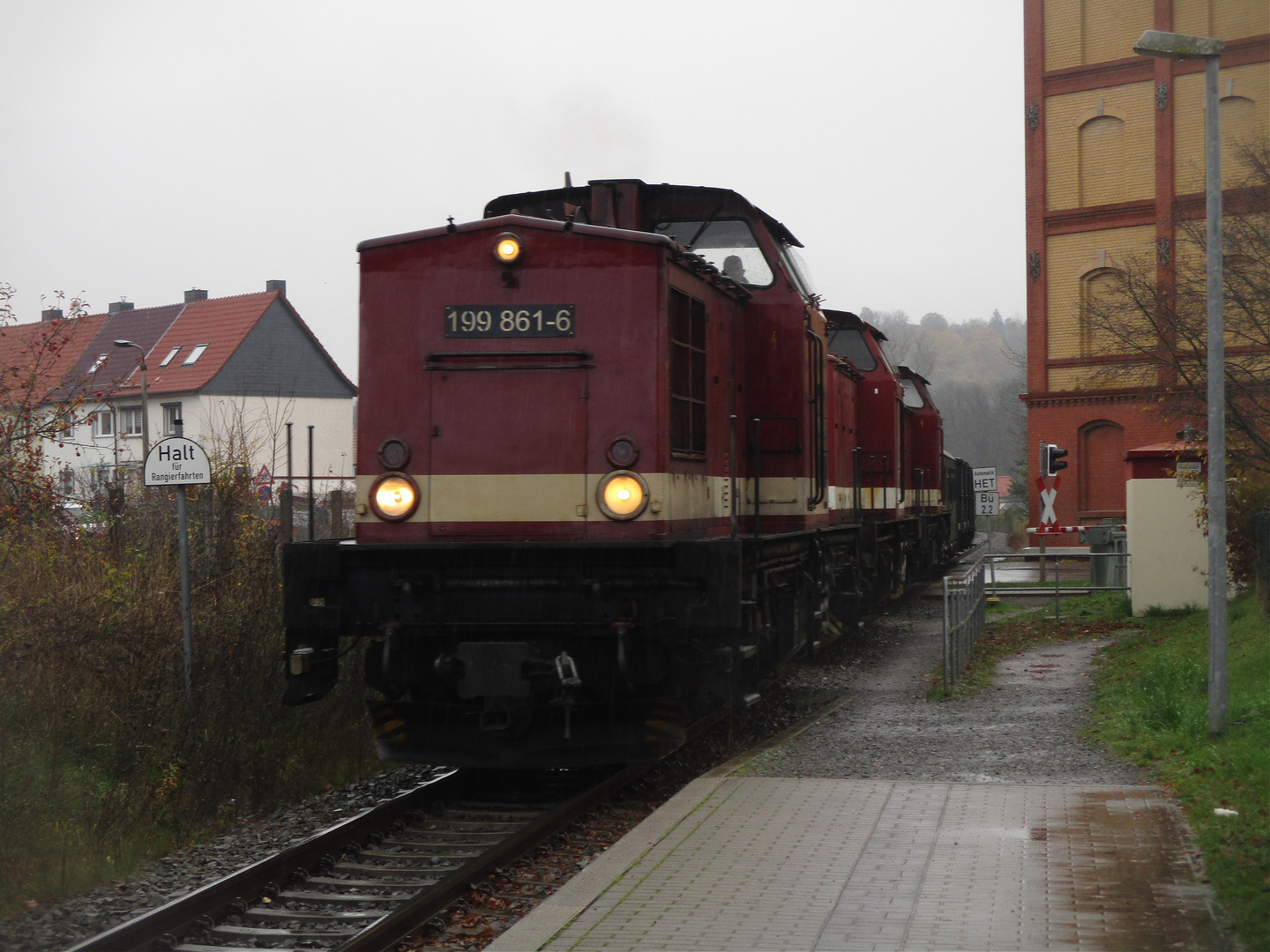 Die „Herde der Harzkamele“ in Nordhausen Altentor.