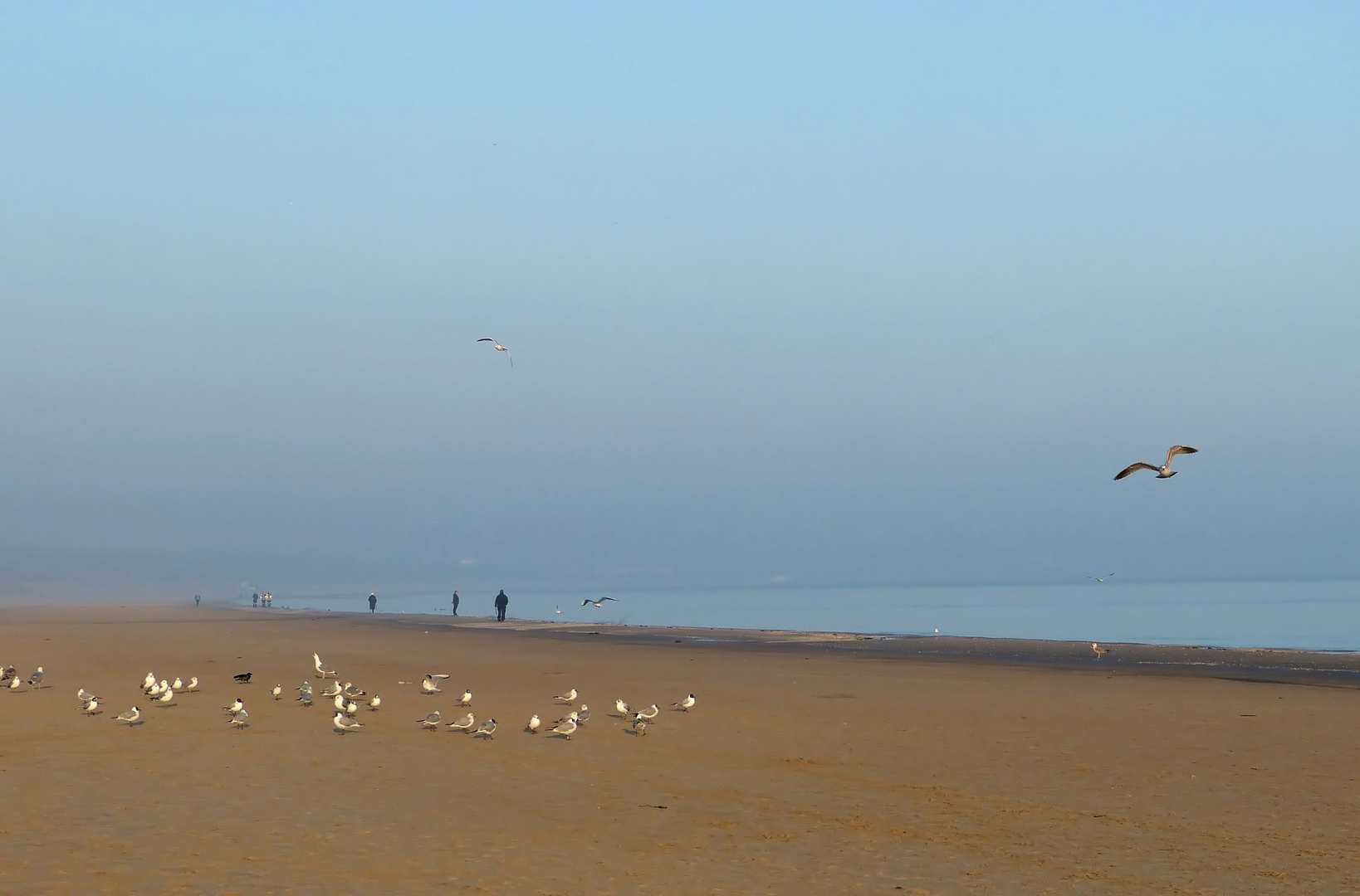 Die Herren des Strandes (2)