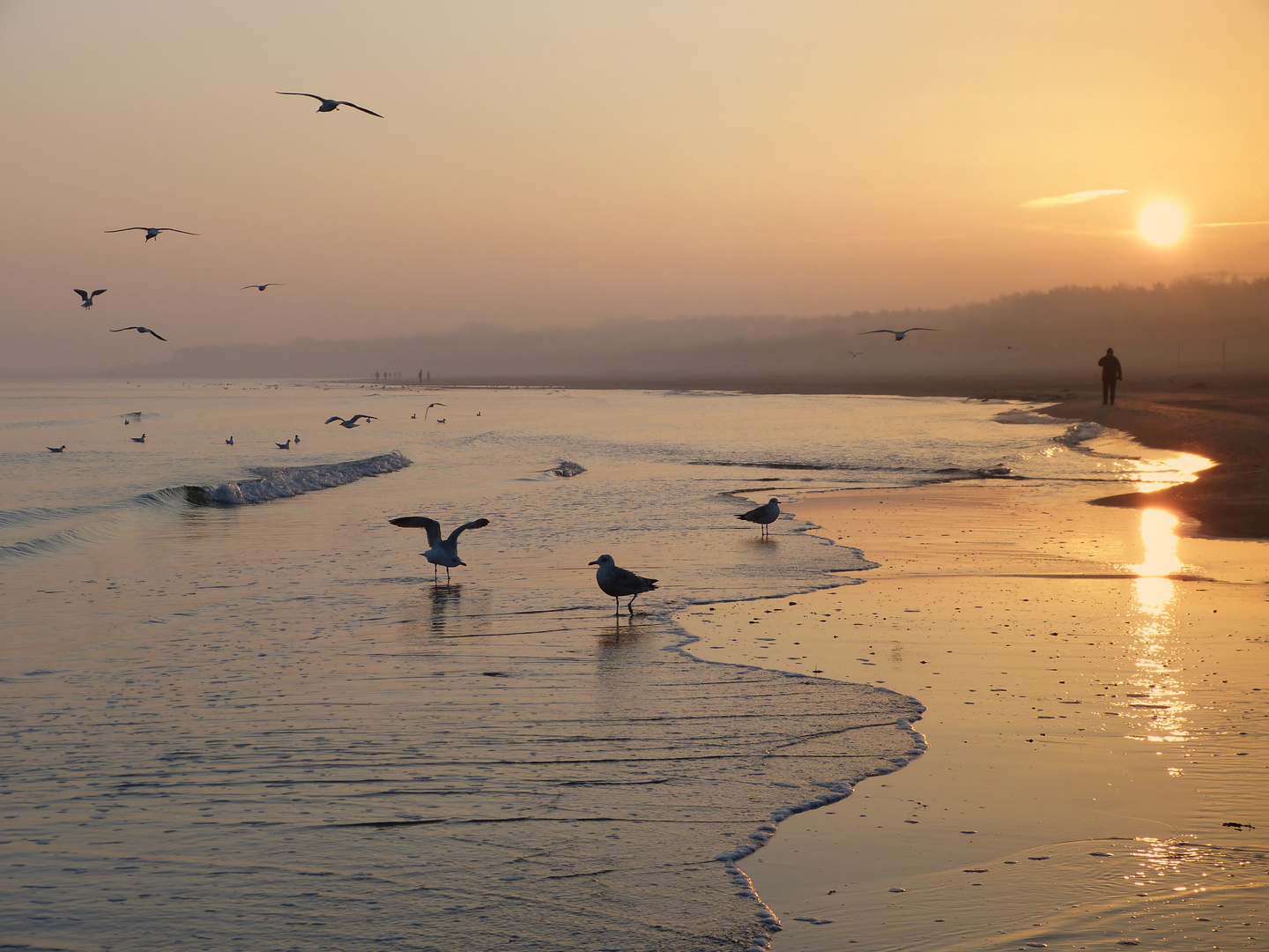 Die Herren des Strandes (4)