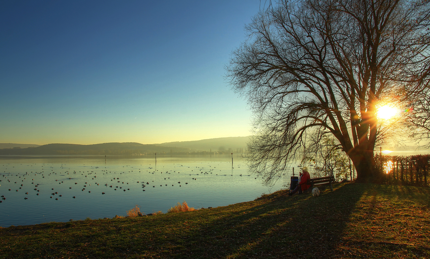 Die herrliche Dezembersonne genießen