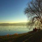 Die herrliche Dezembersonne genießen