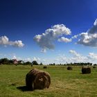 Die Heuballen auf Hiddensee