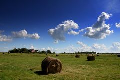 Die Heuballen auf Hiddensee