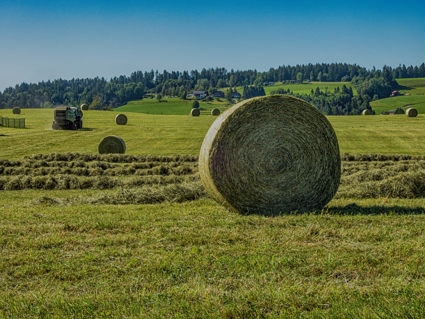 Die Heuernte / Haymaking (DSCN2829)