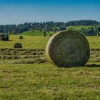 Die Heuernte / Haymaking (DSCN2829)