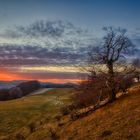 die "Hexenbuchen" am Himmeldunk - bei Sonnenuntergang