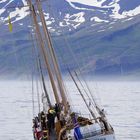 Die Hildur auf Walbeobachtung in der Nähe von Husavik