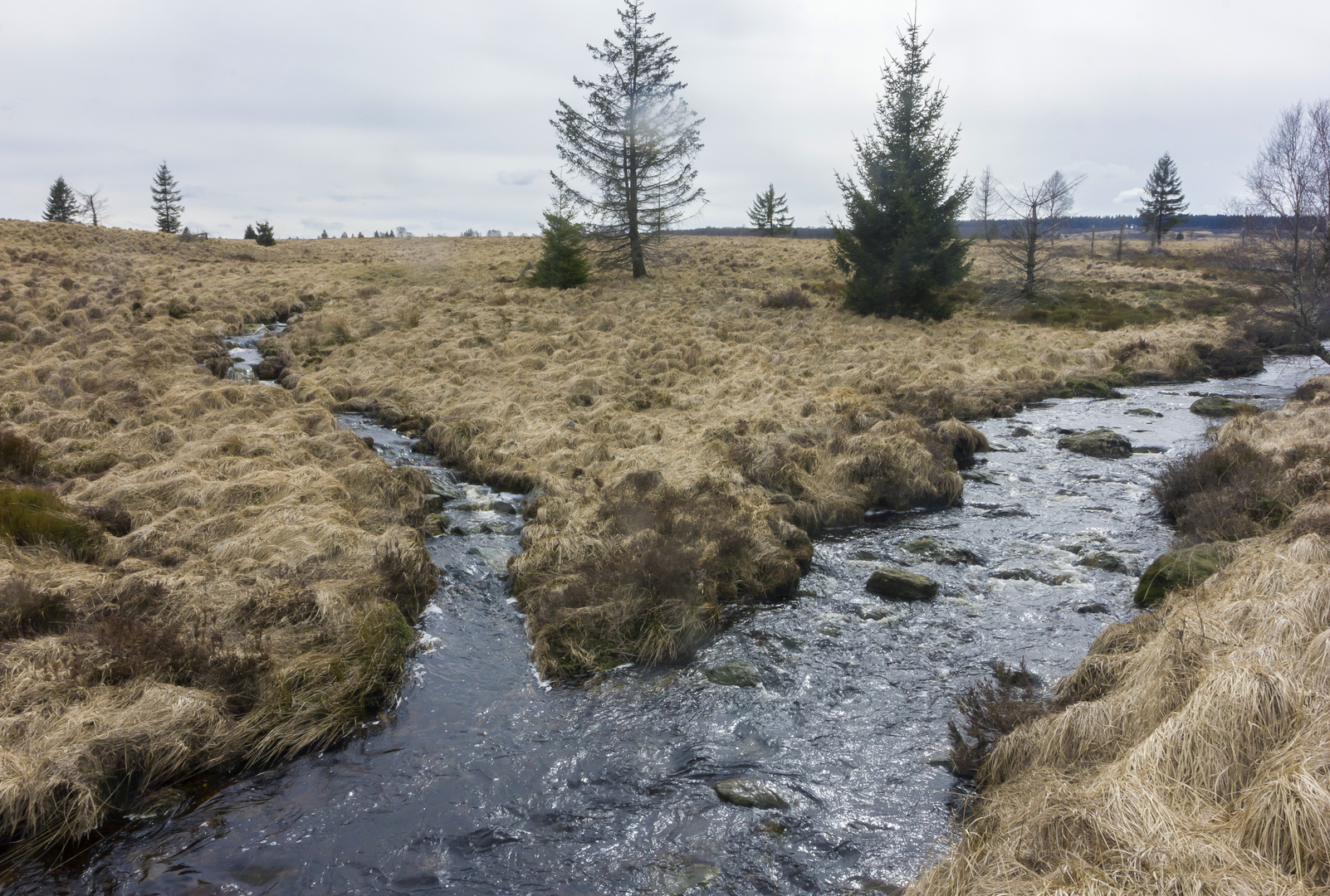 die Hill im Venn