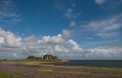 Die Hilligenley - Warf auf der Hallig Langeness