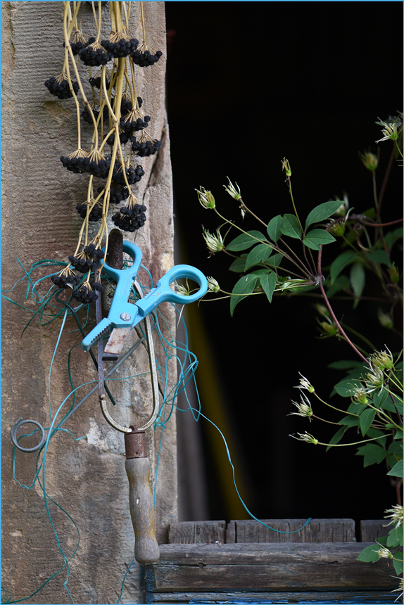 die himmelblaue Gartenschere