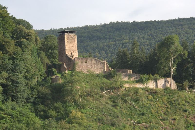 Die Hinterburg / Neckarsteinach / Neckartal