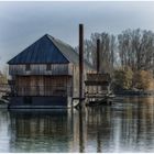 Die historische Rheinschiffsmühle in Ginsheim