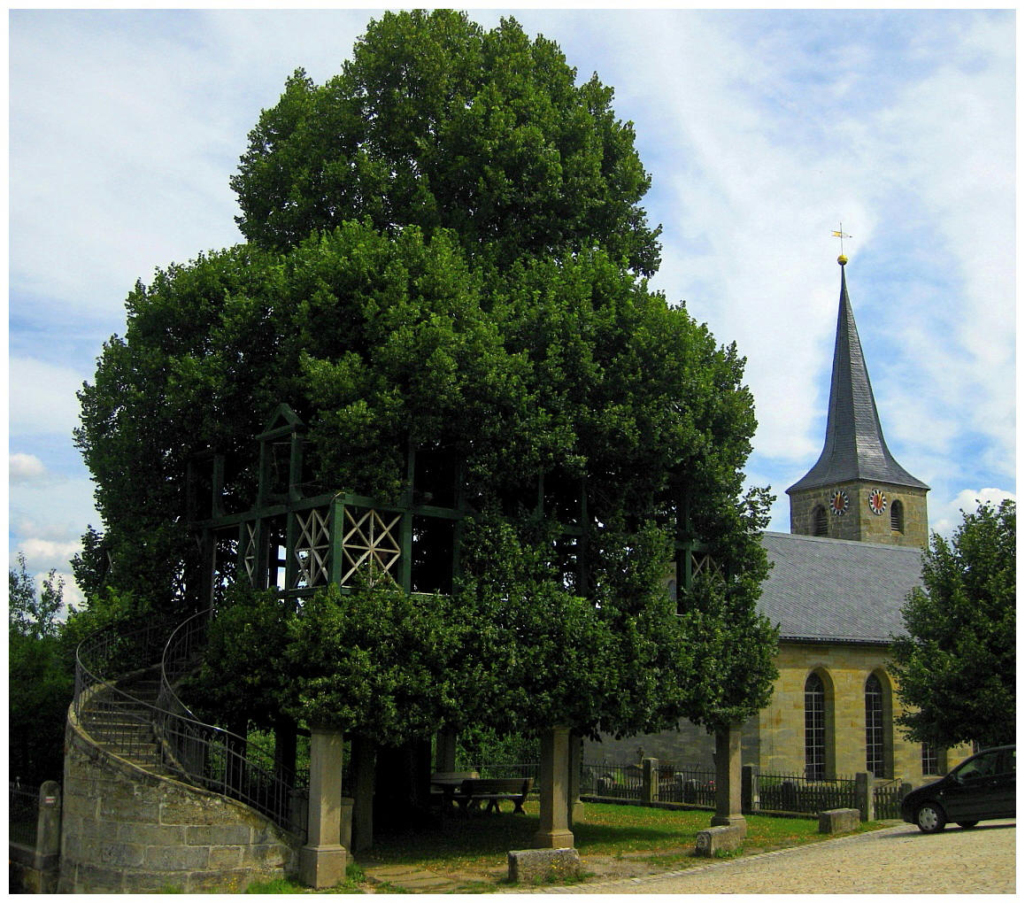 Die historische Tanzlinde in Peesten