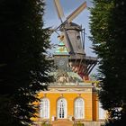 Die historische Windmühle von Sanssouci
