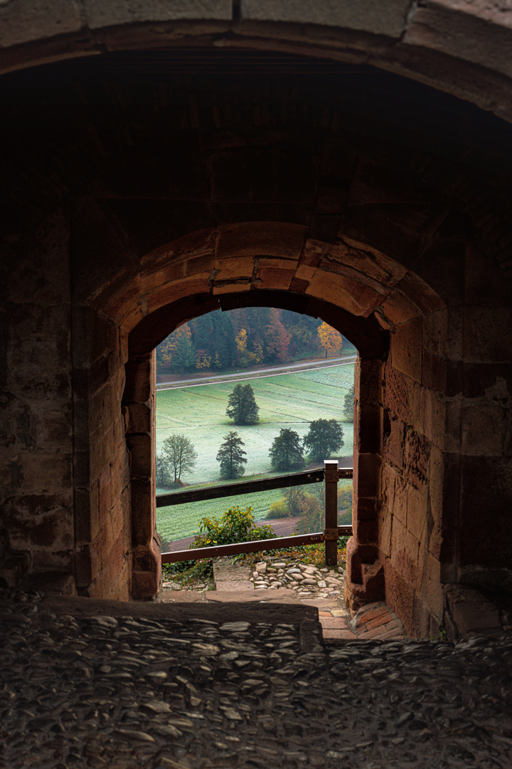 Die Hochburg bei Emmendingen 