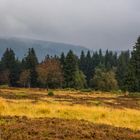 Die Hochheide bei Winterberg