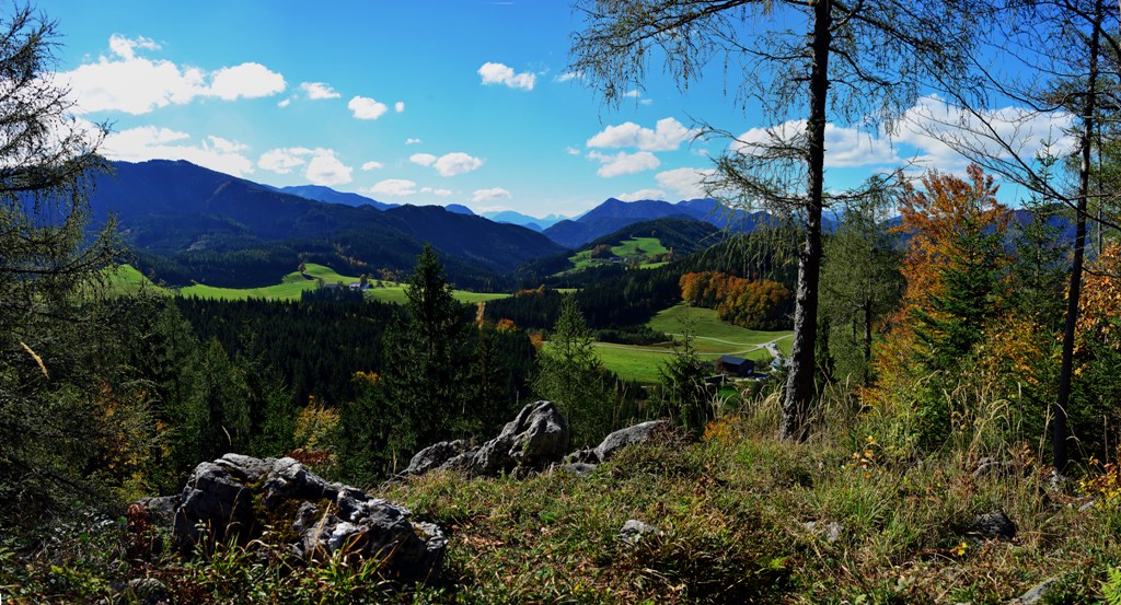 Die Hochreithalmen