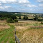 Die Hochrhön am Heidelstein / Schornhecke