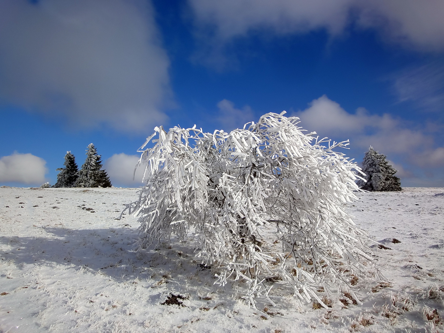 Die Hochrhön im tiefen Winter