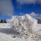 Die Hochrhön im tiefen Winter