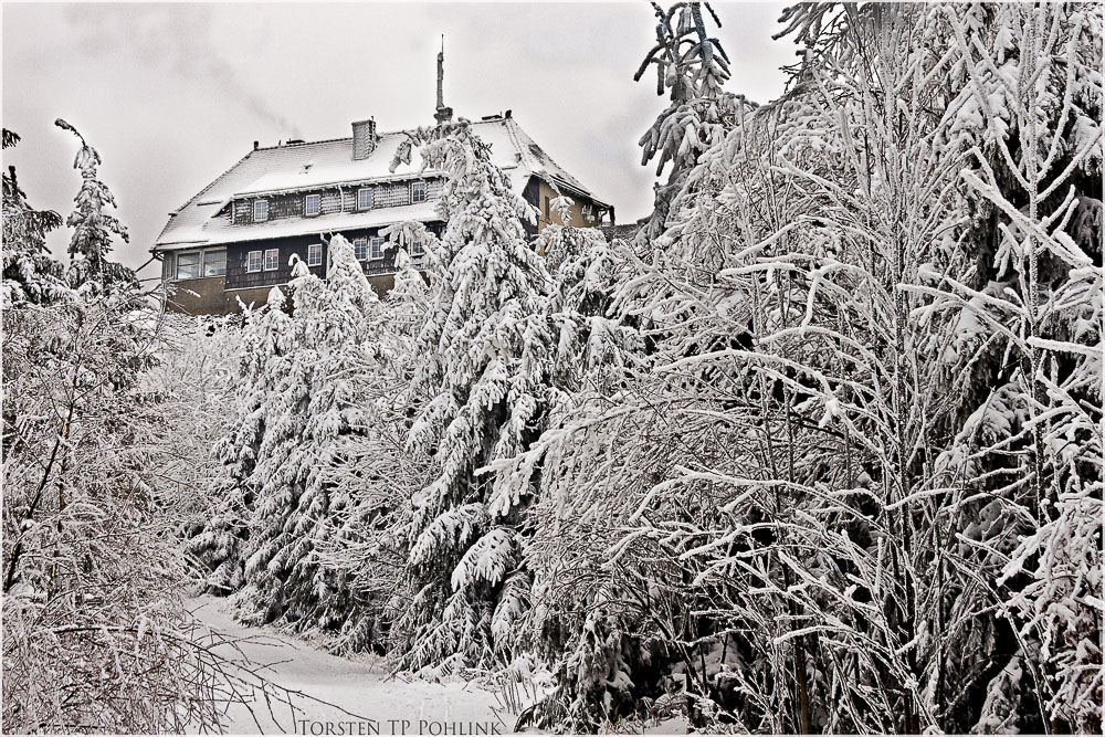 die Hochwaldbaude